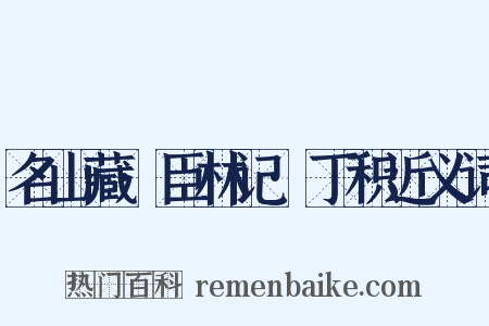 名山藏·臣林记·丁积近义词是什么意思的图片
